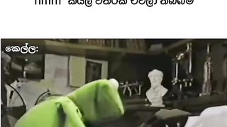 ????????