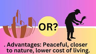 What do you like most ?