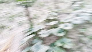 beautiful vlogs ontent
