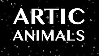 Amazing Arctic Animals 8K ULTRA HD