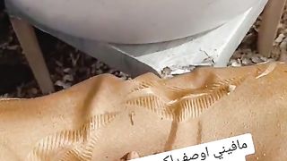 بقة