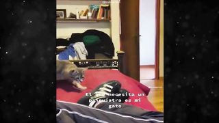 New Funny Videos 2024 ???? Cutest Cats and Dogs ???????? #30