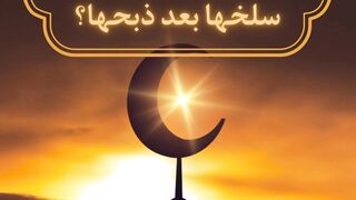 صاحبه المقوله