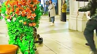 Funny video