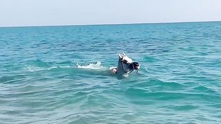 تعليم سيباحة