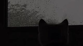 Облегчи нам задачу, о Боже