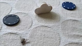 Smart fly ????