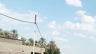 زفينا وخلصنة منة