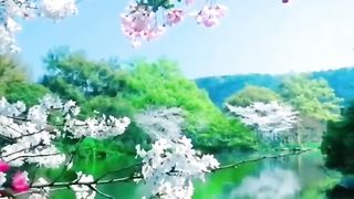 Beautiful_scenery_[Video]___Nature_photography,_Beautiful_locations_nature,_Fall_photography_nature.
