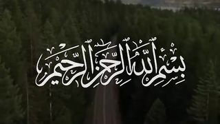 0:50 / 17:33 Surah Yaseen | Qari Tareq Mohammed | سورة يس | القارئ طارق محمد