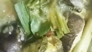 Ikan Korapu