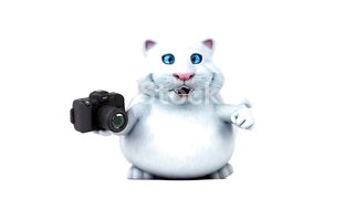 Boy and His Cat animated