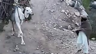 Glad to see the mountain videos