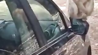 5_août_2023خنيفرة_اجدير_القدر_المجنون(360p).