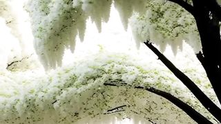 The world of beauty