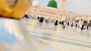 videos