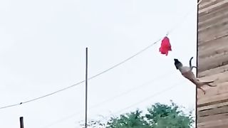 incroyable_jack_????????????????_#shorts_#funny_#viral(360p).