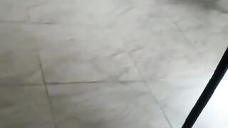 germansheperd