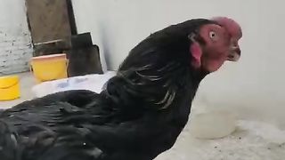 Leave me