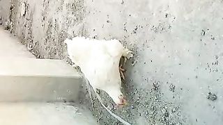 To be successful