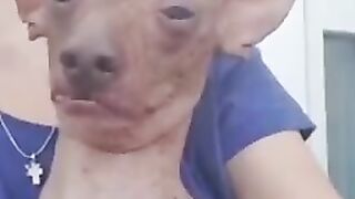 #funny