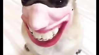 #funny