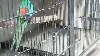 This spot on the