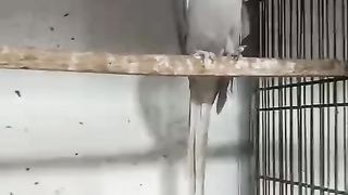 Is ka chehra