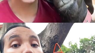 which one is the real goat?