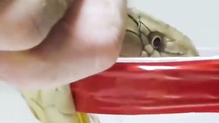 Funny video