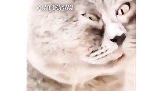 Funny