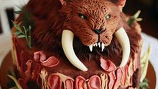 40 easy carnivore diet recipes!