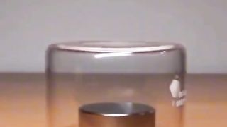 Physics and life