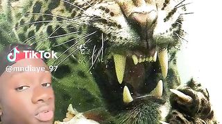 Most disrespectful animals