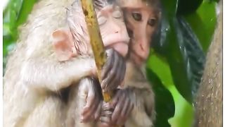 Mother love | How emotional | Love Today