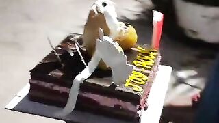 Birthday Celebration of My Friend