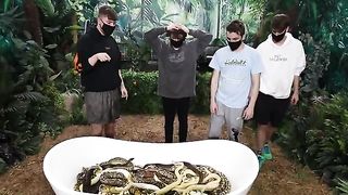 Would You Sit In Snakes For $10,000