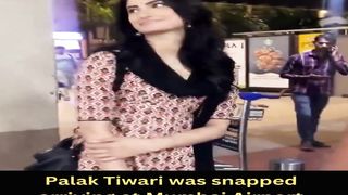 Palak Tiwari was snapped arriving at Mumbai Airport #palaktiwari #shorts #short #trending #viral #bollywood #shortvideo