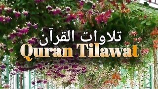 Quran Tilawat Best Video Voice