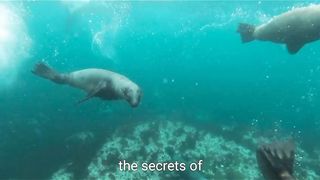 Introduction: The Journey Begins