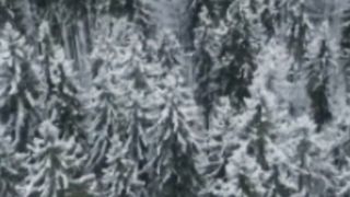 why we feel hungry in the winter?