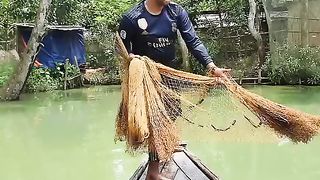 Amazing Catch Lot of Big Fish by Cast Net in Pond | New Cast Net Fishing #fishing