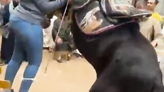 أجمل حالات واتس حب