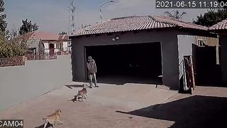 Crime