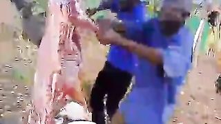 Chathi