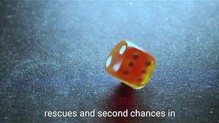 10 Heartfelt Stories of Pet Rescues and Second Chances