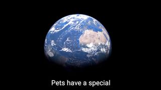 10 Times Pets Stole the Spotlight and Our Hearts