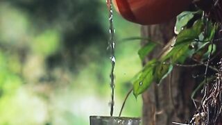 শীতের সকালে গ্রাম বাংলার একটি সন্দর দৃশ্য