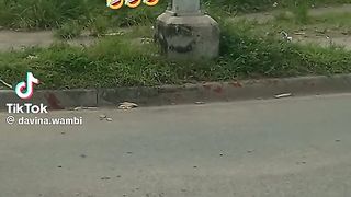 Police vs PMV buses