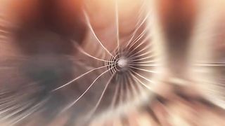 Spider silk stronger than metal wires